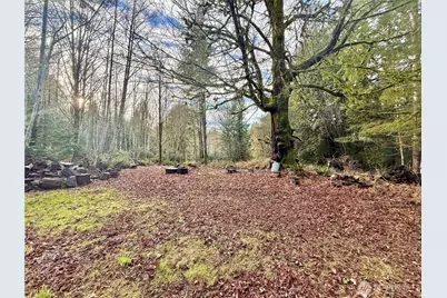 705 E Colonel Wright Road, Shelton, WA 98584 - Photo 3