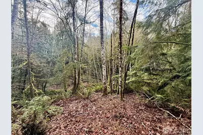 705 E Colonel Wright Road, Shelton, WA 98584 - Photo 25