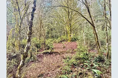 705 E Colonel Wright Road, Shelton, WA 98584 - Photo 23
