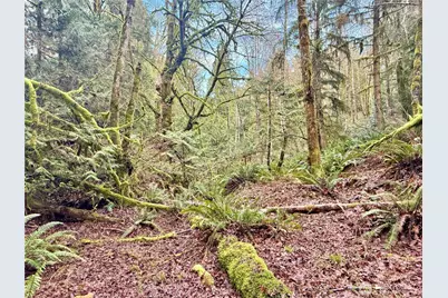 705 E Colonel Wright Road, Shelton, WA 98584 - Photo 19