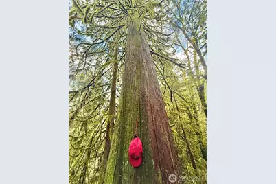 705 E Colonel Wright Road, Shelton, WA 98584 - Photo 27