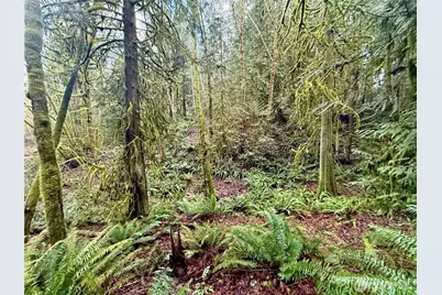 705 E Colonel Wright Road, Shelton, WA 98584 - Photo 35