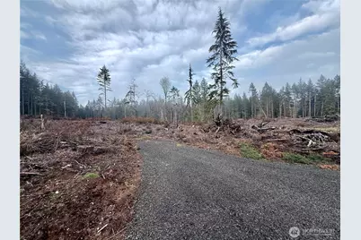 255 E Solbakk Veien Road, Shelton, WA 98584 - Photo 23