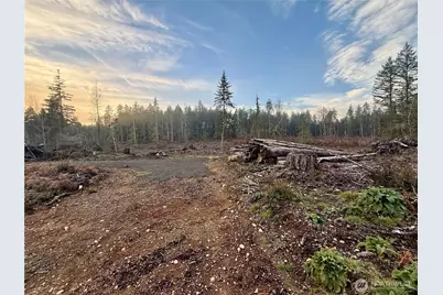 255 E Solbakk Veien Road, Shelton, WA 98584 - Photo 29