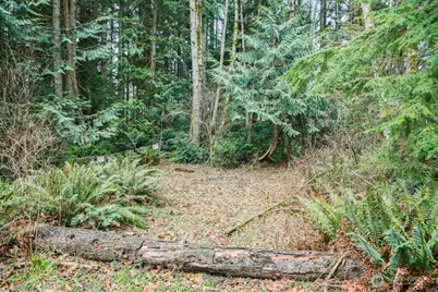 0 Martin Avenue E, Port Orchard, WA 98366 - Photo 1