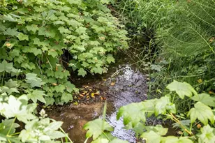 273 Pearce Rd, Port Angeles, WA 98362 - Photo 39