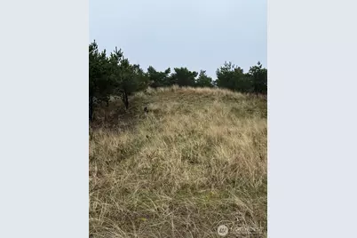 34806 I Street, Ocean Park, WA 98640 - Photo 3