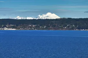 896 Snowshoe Pl, Greenbank, WA 98253 - Photo 5