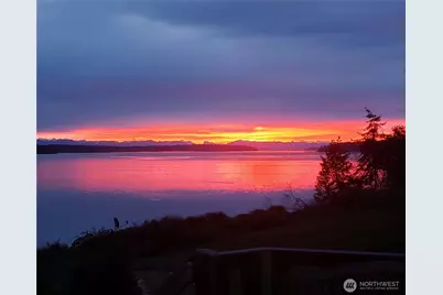 896 Snowshoe Place, Greenbank, WA 98253 - Photo 39