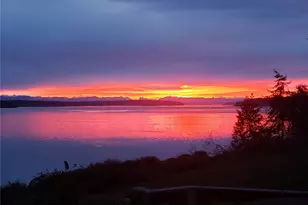 896 Snowshoe Pl, Greenbank, WA 98253 - Photo 39