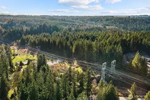 16207 309th Ave NE, Duvall, WA 98019 - Photo 23