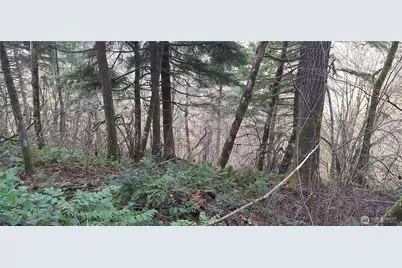 1586 King Road, Winlock, WA 98596 - Photo 9