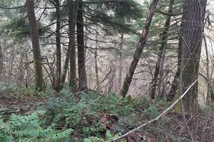 1586 King Rd, Winlock, WA 98596 - Photo 9