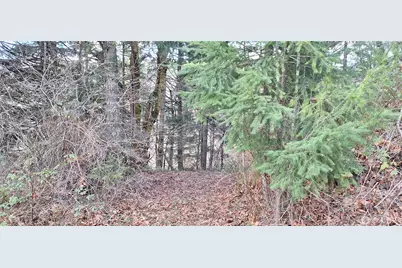 1586 King Road, Winlock, WA 98596 - Photo 7