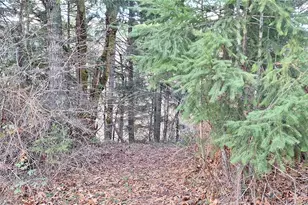 1586 King Rd, Winlock, WA 98596 - Photo 7