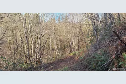 1586 King Road, Winlock, WA 98596 - Photo 11