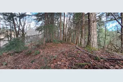 1586 King Road, Winlock, WA 98596 - Photo 5