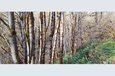 1586 King Road, Winlock, WA 98596 - Photo 23