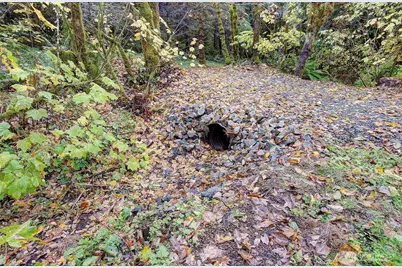 133 Lost Creek Drive, Glenoma, WA 98336 - Photo 25