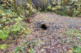 133 Lost Creek Dr, Glenoma, WA 98336 - Photo 25