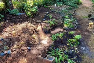 12527 NE 117th Pl, Kirkland, WA 98034 - Photo 19