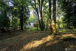 6241 Olson Rd, Ferndale, WA 98248 - Photo 35