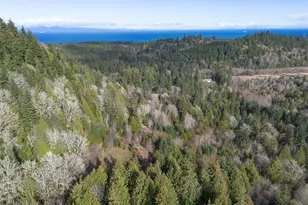 9999 Sponberg Ln, Port Angeles, WA 98363 - Photo 1