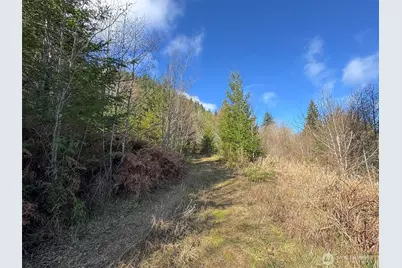 9999 Sponberg Lane, Port Angeles, WA 98363 - Photo 11