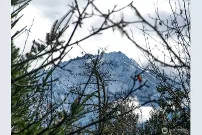 9999 Sponberg Lane, Port Angeles, WA 98363 - Photo 33