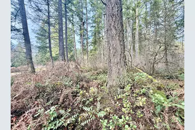 20403 SE 248th Street, Maple Valley, WA 98038 - Photo 35