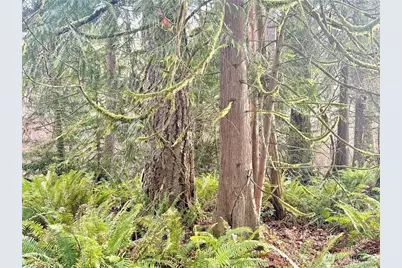 20403 SE 248th Street, Maple Valley, WA 98038 - Photo 21