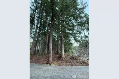 44726 SE 146th St Street, North Bend, WA 98045 - Photo 3