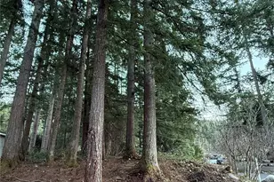 44726 SE 146th St St, North Bend, WA 98045 - Photo 3