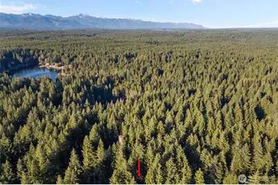 50 NE Cedar Lane, Tahuya, WA 98588 - Photo 27