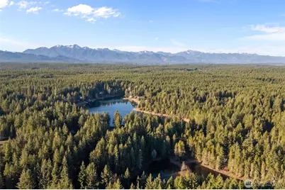 50 NE Cedar Lane, Tahuya, WA 98588 - Photo 29