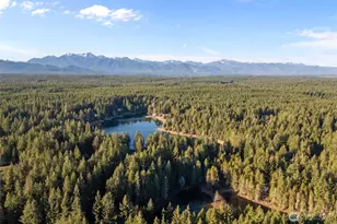 50 NE Cedar Ln, Tahuya, WA 98588 - Photo 29