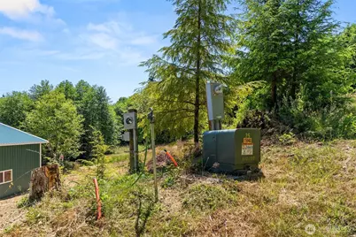 341 Parpala Road, Naselle, WA 98638 - Photo 21