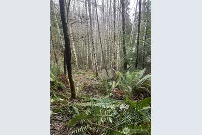 0 Parpala Road, Naselle, WA 98638 - Photo 13