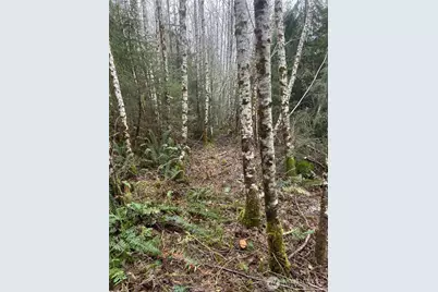 0 Parpala Road, Naselle, WA 98638 - Photo 11