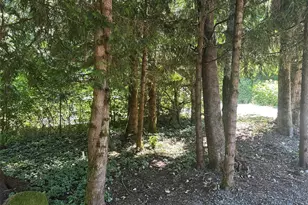 45263 Tillicum Trail, Concrete, WA 98237 - Photo 13