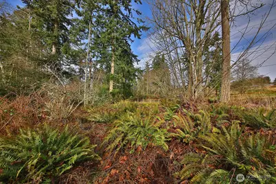0 Goss Lake Road, Freeland, WA 98249 - Photo 9