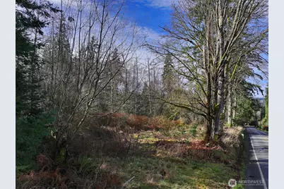 0 Goss Lake Road, Freeland, WA 98249 - Photo 13