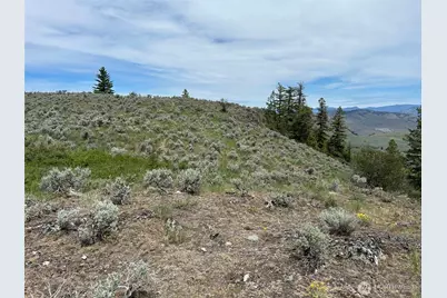 1 Tbd Ellemeham Mountain Road, Oroville, WA 98844 - Photo 5