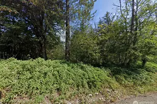 31900 Retreat-Kanaskat Rd, Ravensdale, WA 98051 - Photo 1