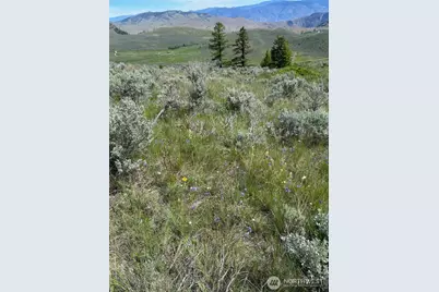 4 Tbd Ellemeham Mountain Road, Oroville, WA 98844 - Photo 3