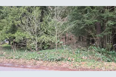 7884 Santa Fe Trail, Maple Falls, WA 98266 - Photo 3