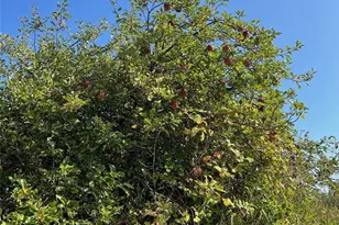 1440 Peltier Dr, Point Roberts, WA 98281 - Photo 31