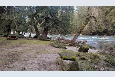 0 Cascade River Rd #D1-203, Marblemount, WA 98267 - Photo 31