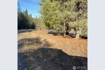 331 Corbett Creek Road, Colville, WA 99114 - Photo 21