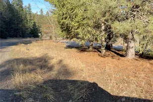 331 Corbett Creek Rd, Colville, WA 99114 - Photo 21